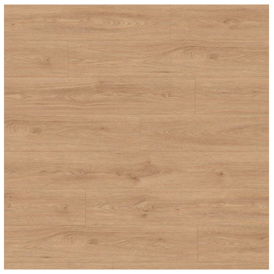 Panele Egger Classic 24h Jesion Avio naturalny EL2242 8MM AC5