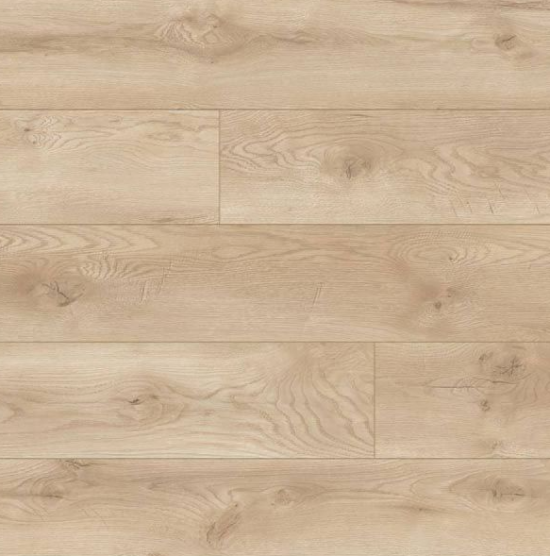 Panele Classen Euphoria  Dąb Albergo 66709