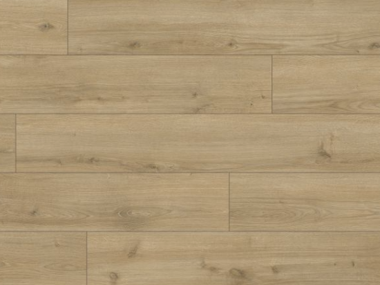 Panele Classen Life 4V WR Dąb Bari 64973