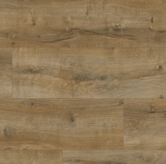 Panele Classen QUERRA Harmony WR Dąb Arro 64927