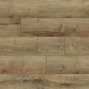 PaneleTrend 4V Dąb Vanda 52605