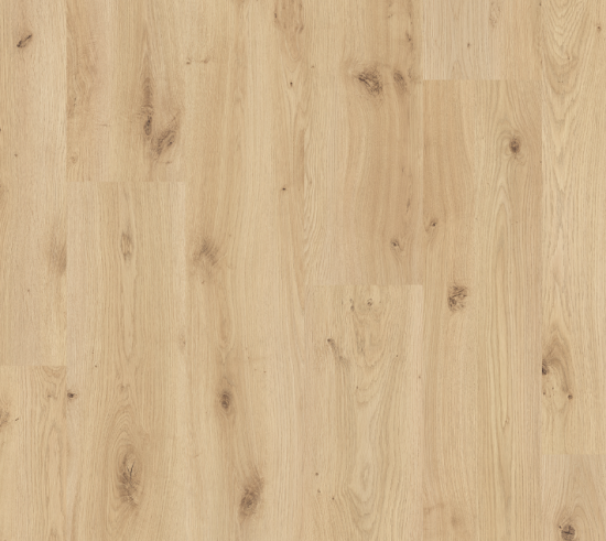Panele Querra Magna Plus WR Dąb Alva 04567