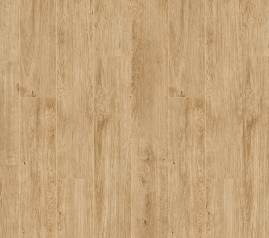 Panele Querra Magna Plus WR Dąb Bragi 344