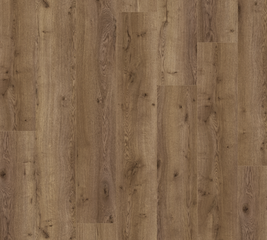 Panele Querra Magna WR Dąb Albero 04102
